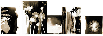Workingbert Sepia